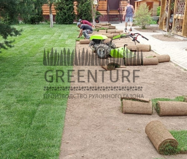 Озеленение территории в Домодедовском районе д. Сонино - фото - 5