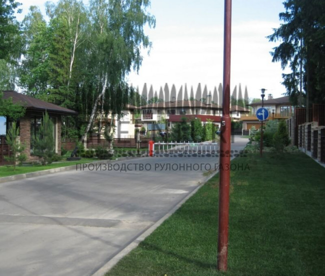 Озеленение коттеджного поселка “La Promenade” - фото - 2
