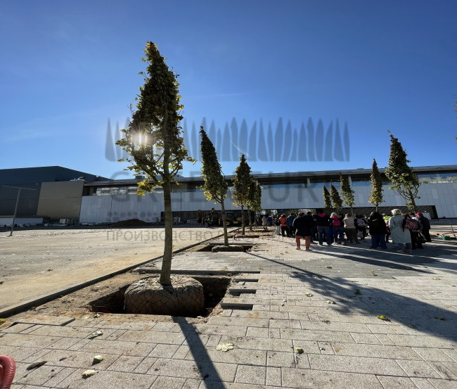 Благоустройство ТРЦ 