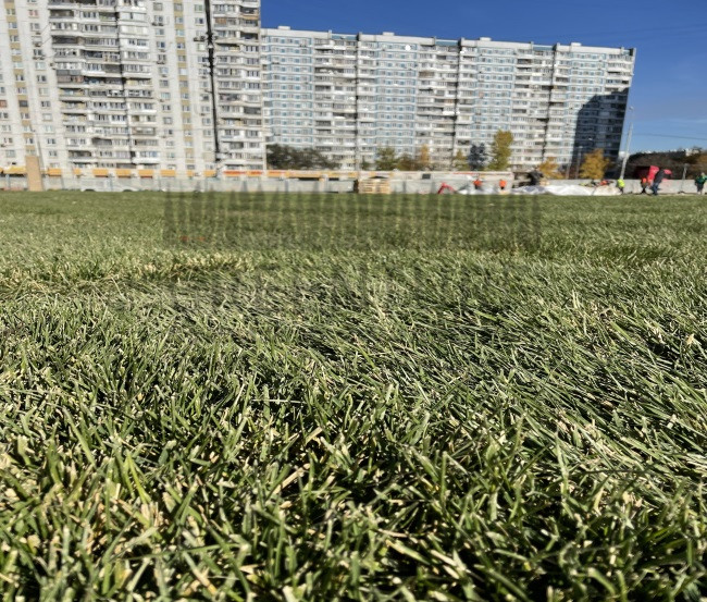 Благоустройство ТРЦ 