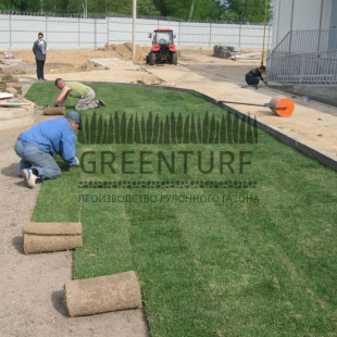 Устройство рулонного газона на подготовленный слой из плодородного грунта - фото - 1