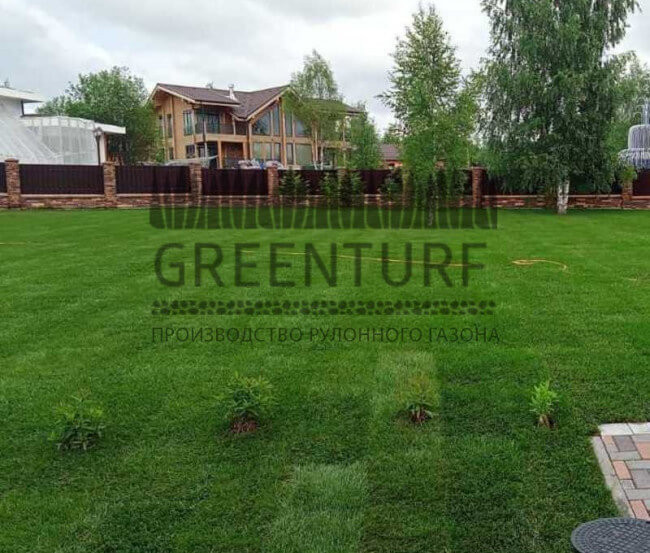 Озеленение территории Руза Фэмили Парк - фото - 2