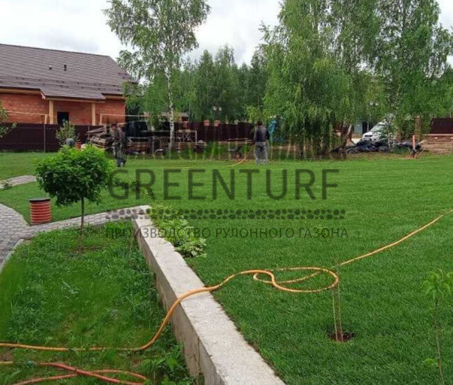 Озеленение территории Руза Фэмили Парк - фото - 3