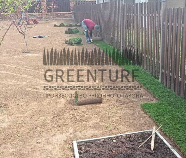 Озеленение территории Руза Фэмили Парк - фото - 5