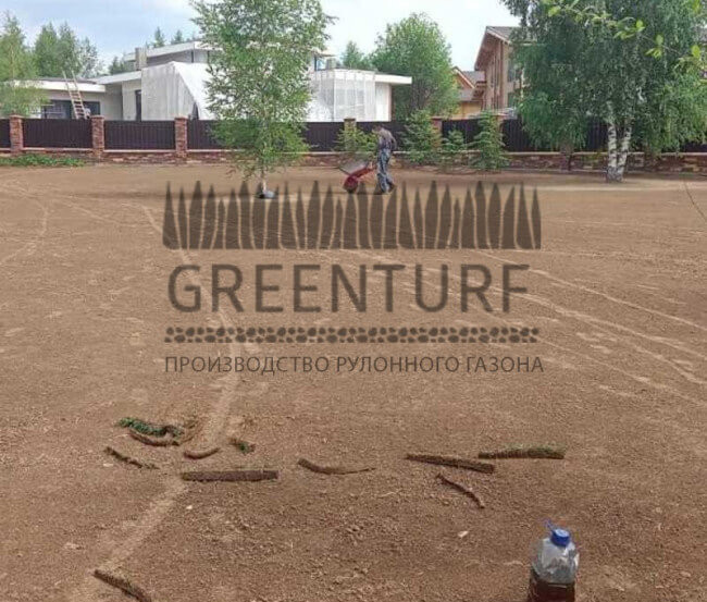 Озеленение территории Руза Фэмили Парк - фото - 6