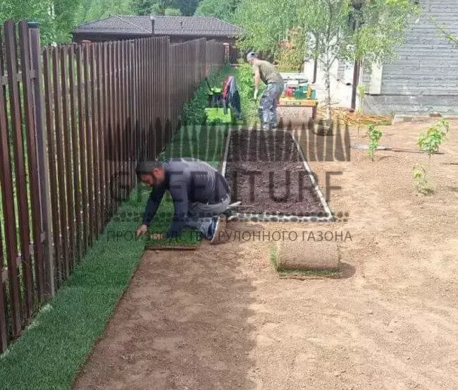 Озеленение территории Руза Фэмили Парк - фото - 10